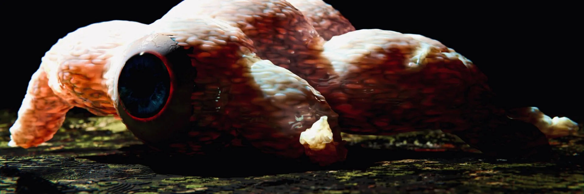 Free work CGI