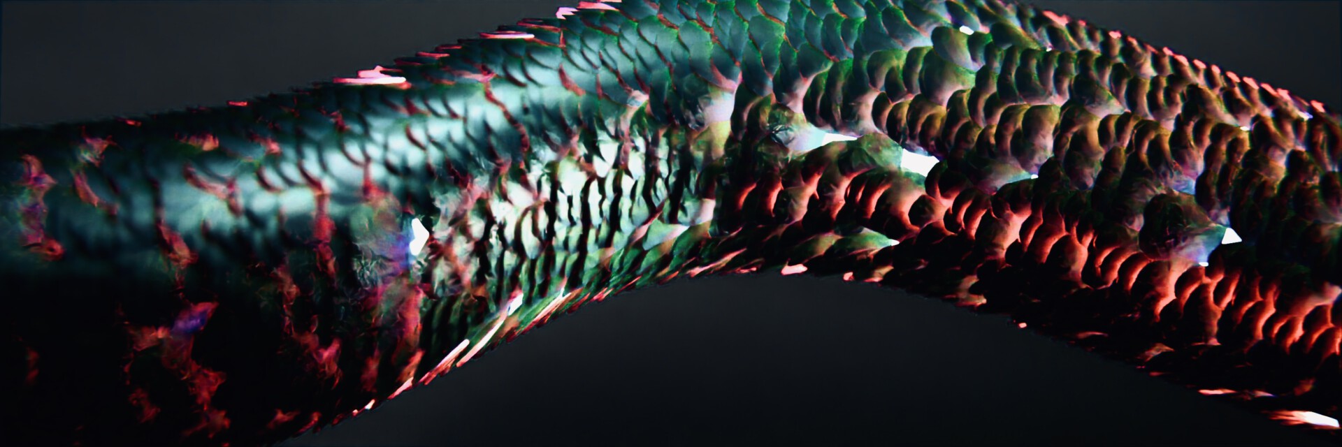Free work CGI