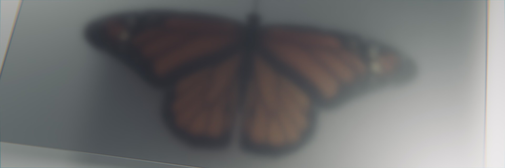 Free work CGI