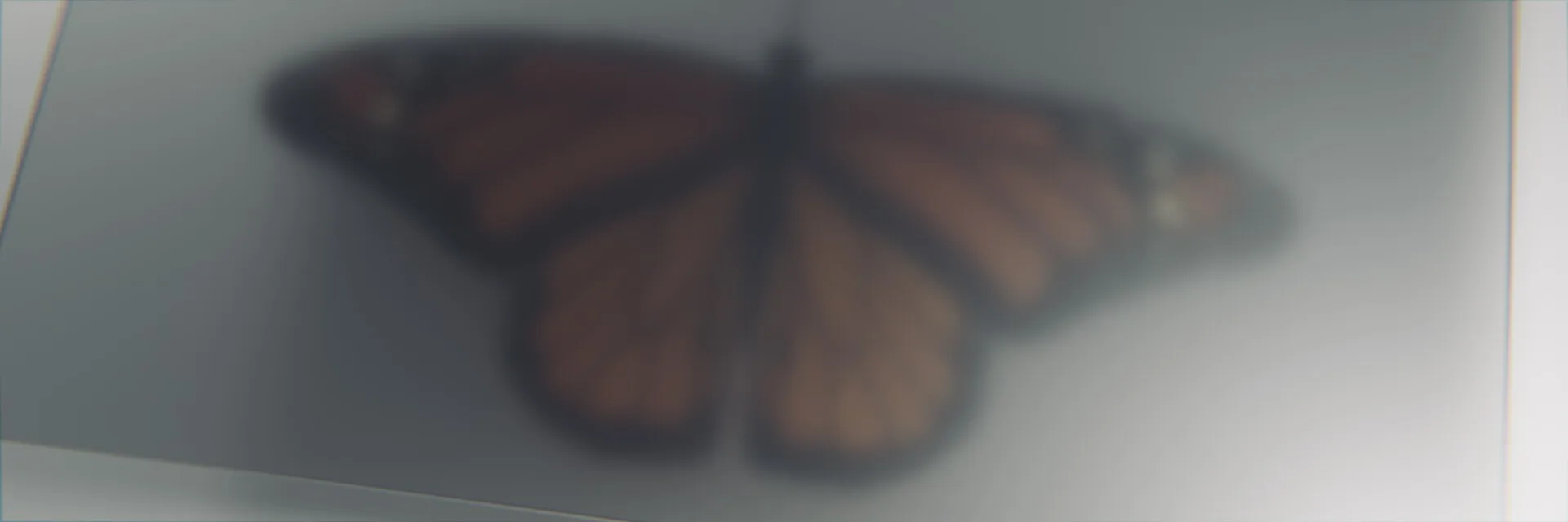 Free work CGI