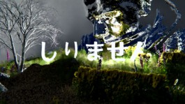 felix schreiber design practice