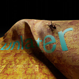 felix schreiber design practice