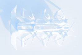 felix schreiber design practice