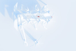 felix schreiber design practice